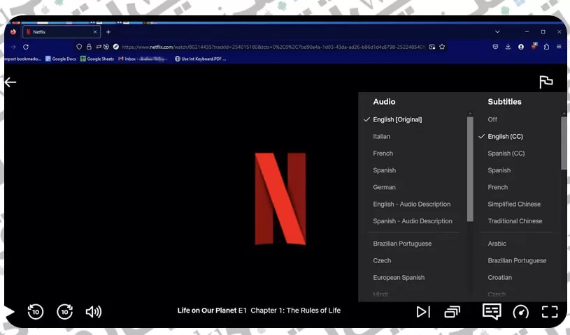 خيارات لغة قائمة الإيقاف المؤقت لتشغيل متصفح Netflix