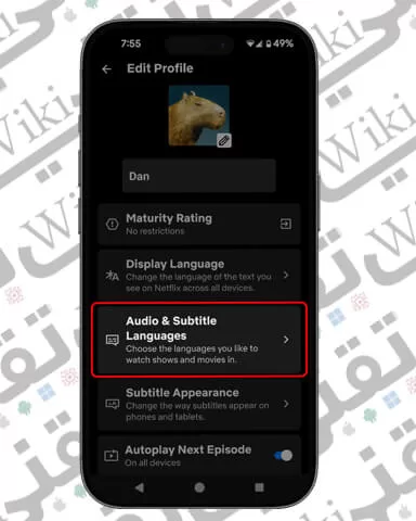 الصوت ولغة الترجمة في نيتفليكس موبايل
